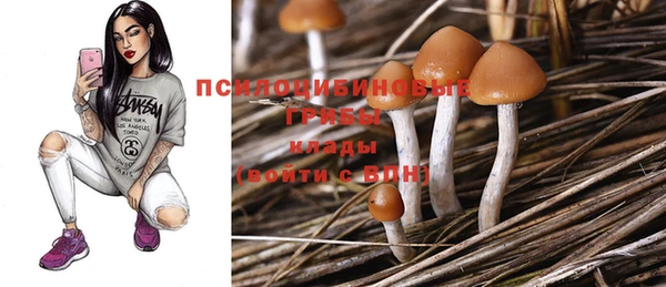 эйфоретик Верхний Тагил